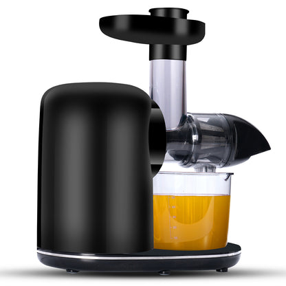 Electric Juicer