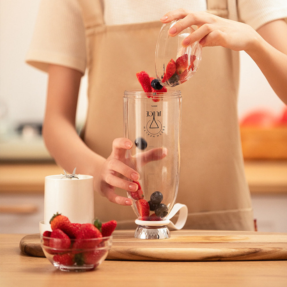 Electric Juicer