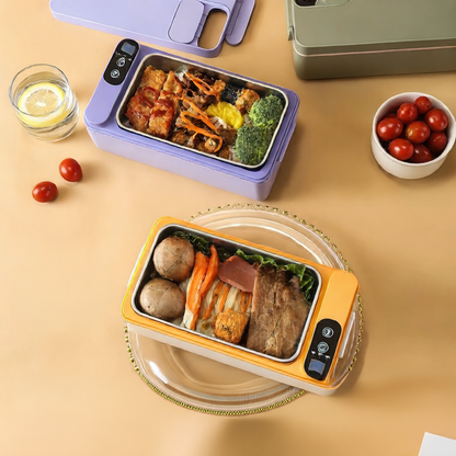 Electric Lunch Box