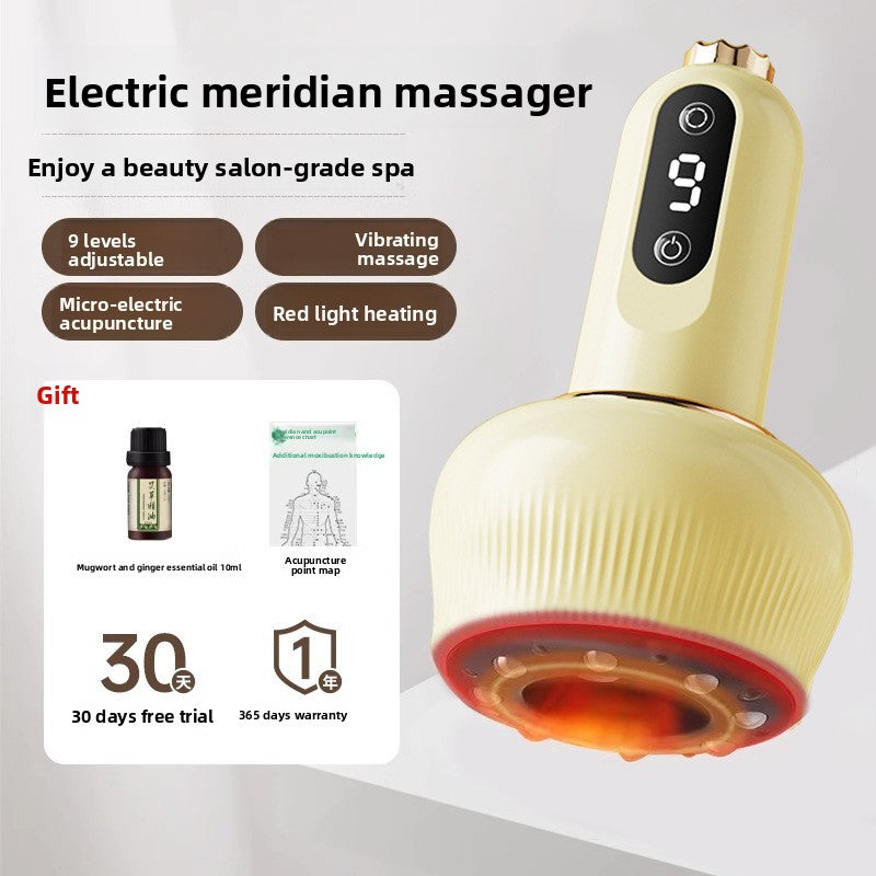 Electric Meridian Brush
