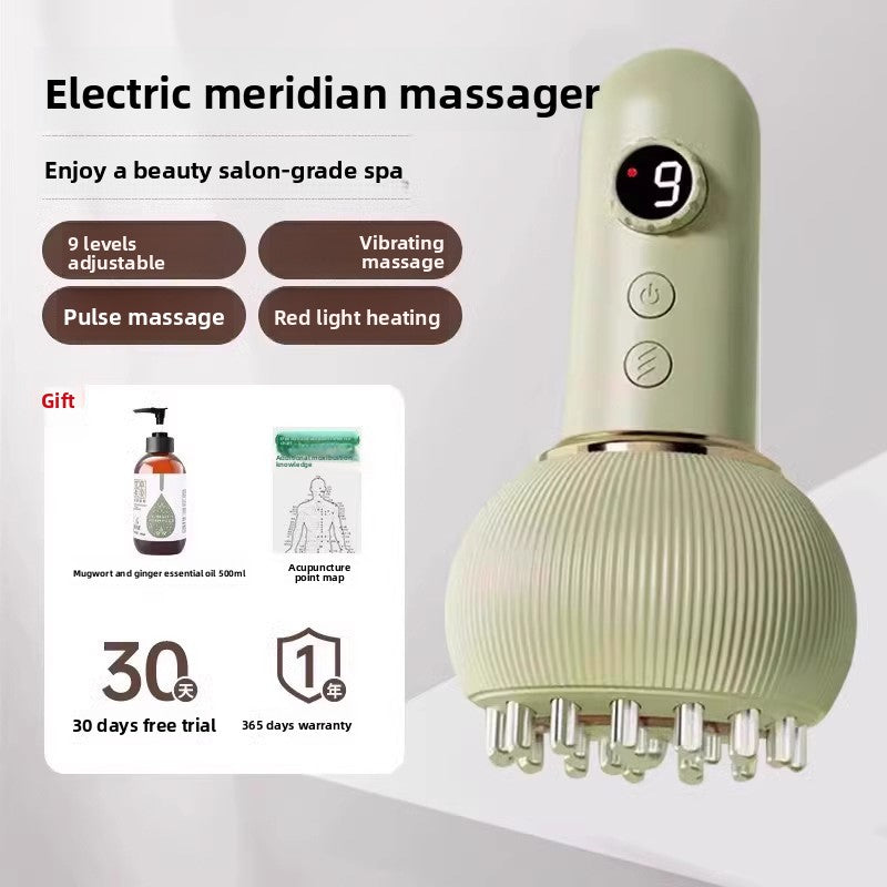 Electric Meridian Brush