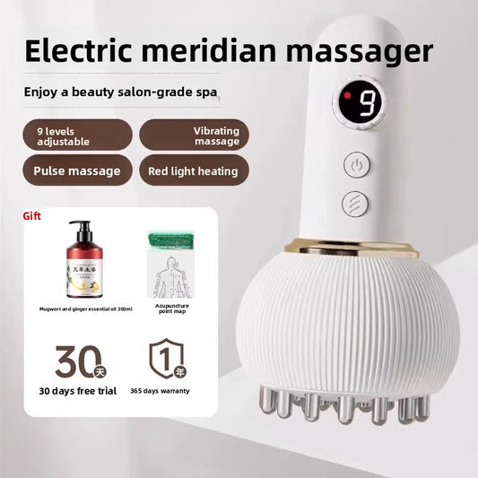 Electric Meridian Brush