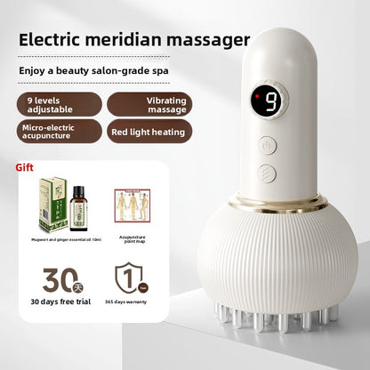 Electric meridian brush scraping instrument