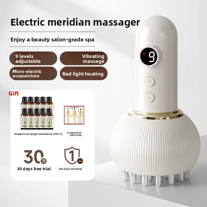 Electric meridian brush scraping instrument