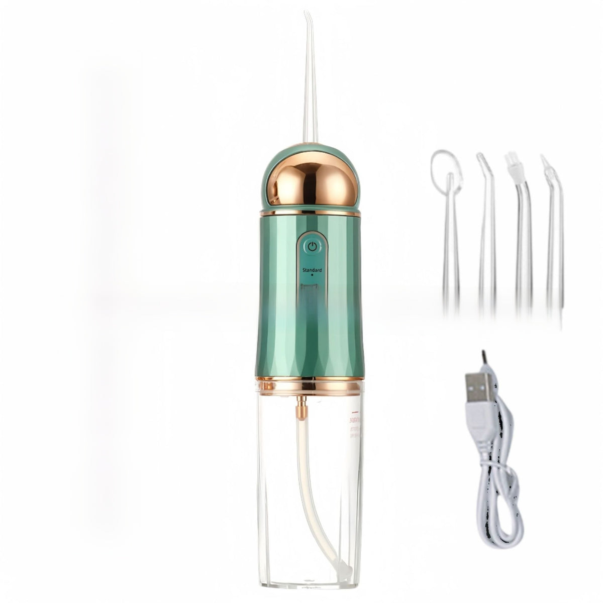 electric oral irrigator