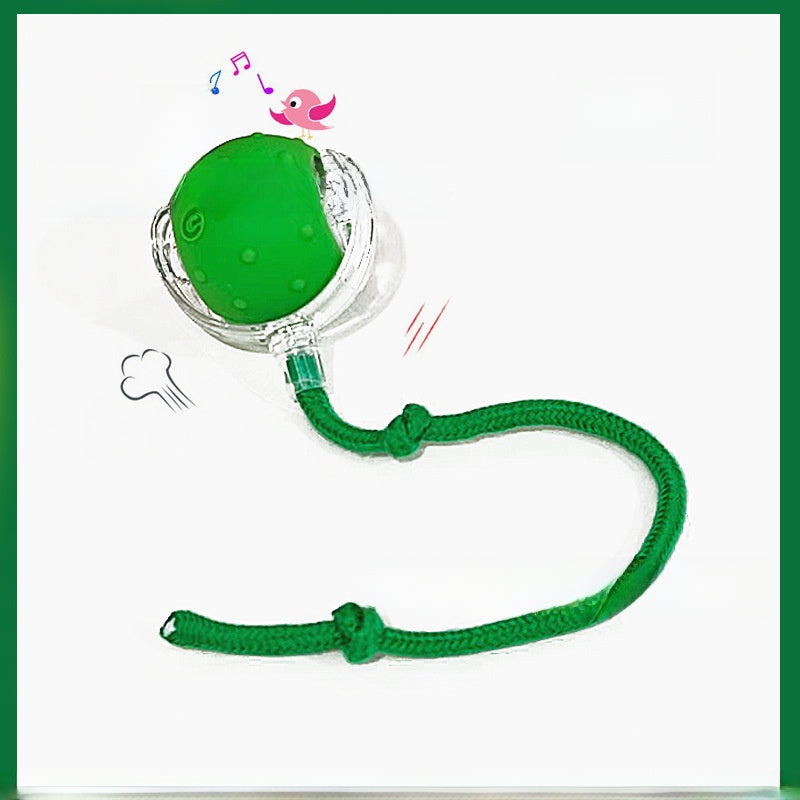 Electric Pet Teasing Ball with Automatic Motion