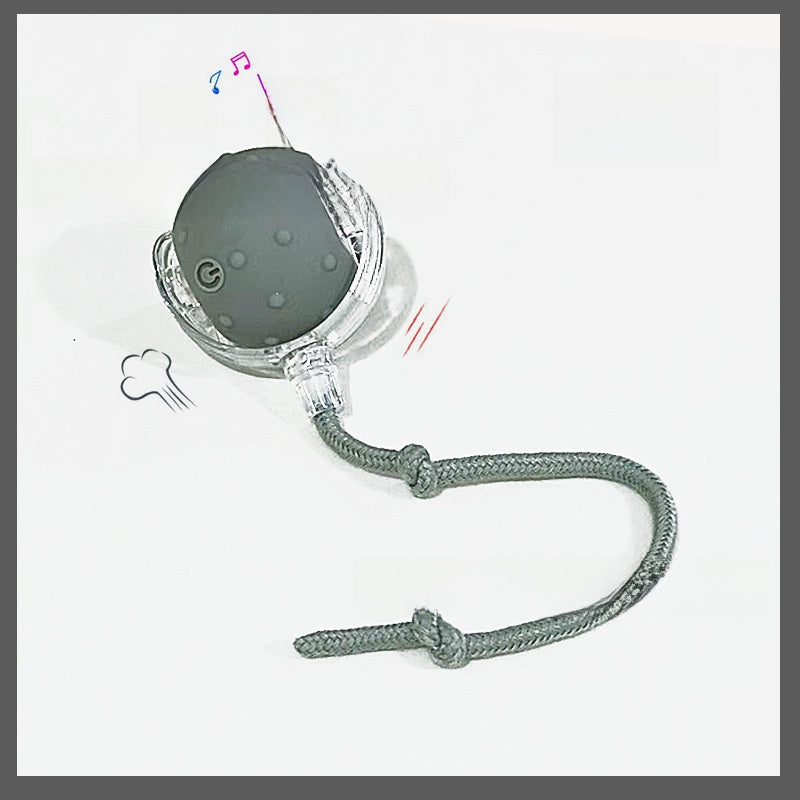 Electric Pet Teasing Ball with Automatic Motion