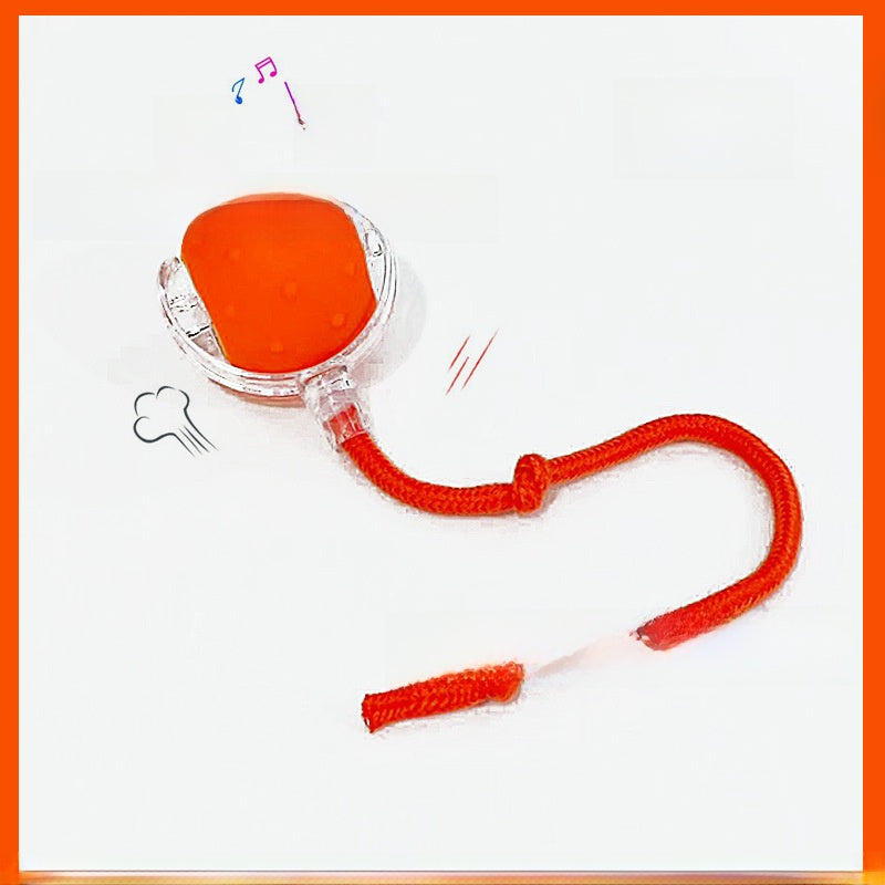 Electric Pet Teasing Ball with Automatic Motion
