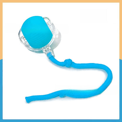 Electric Pet Teasing Ball with Automatic Motion