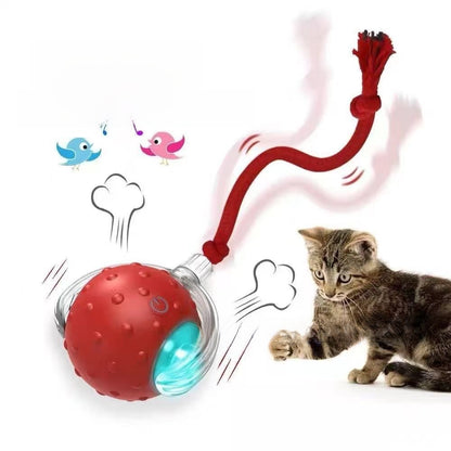 Electric Pet Teasing Ball with Automatic Motion