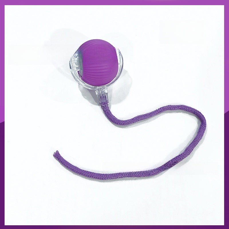 Electric Pet Teasing Ball with Automatic Motion