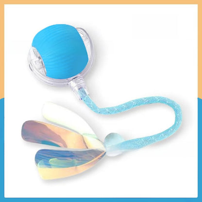 Electric Pet Teasing Ball with Automatic Motion
