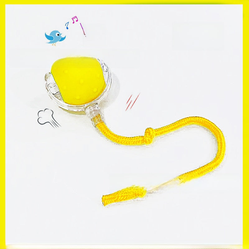 Electric Pet Teasing Ball with Automatic Motion