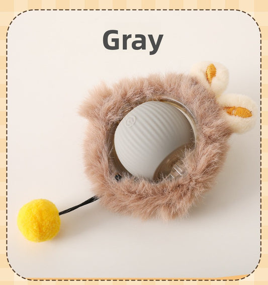Electric Pet Toy