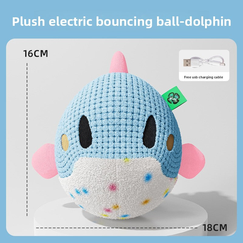 Electric Pet Toy
