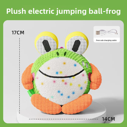 Electric Pet Toy