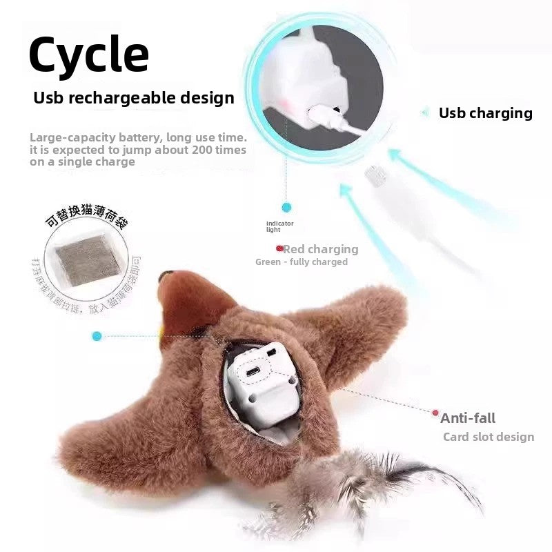 Electric Pet Toy