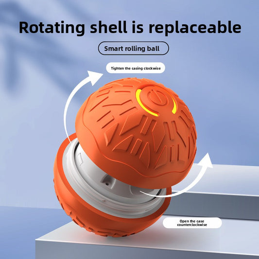 Electric Pet Toy
