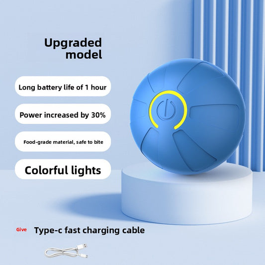 Electric Pet Toy