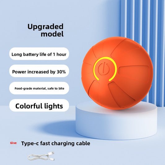 Electric Pet Toy