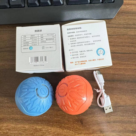 Electric Pet Toy