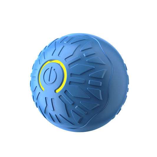 Electric Pet Toy