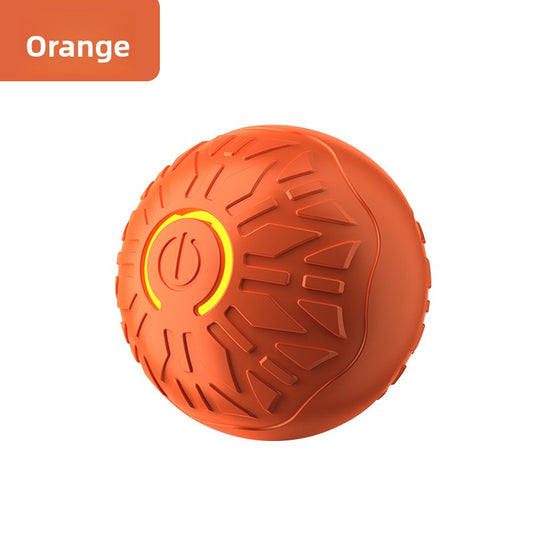Electric Pet Toy