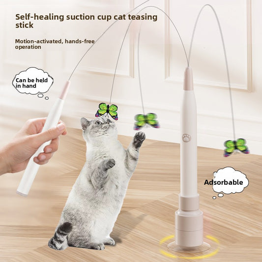 Electric pet toy