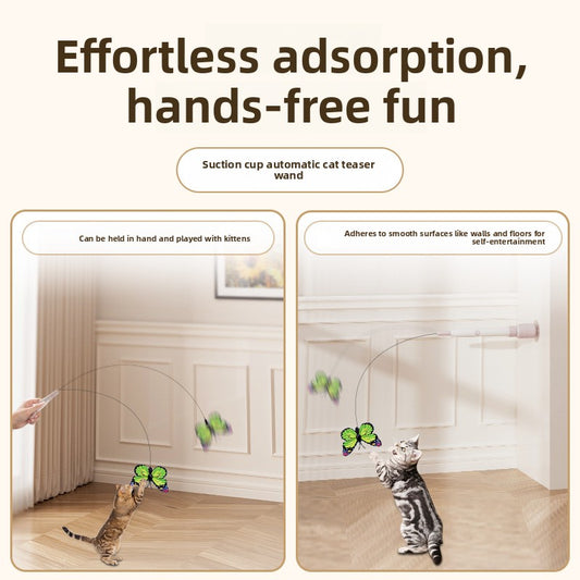 Electric pet toy