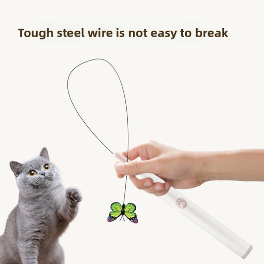 Electric pet toy