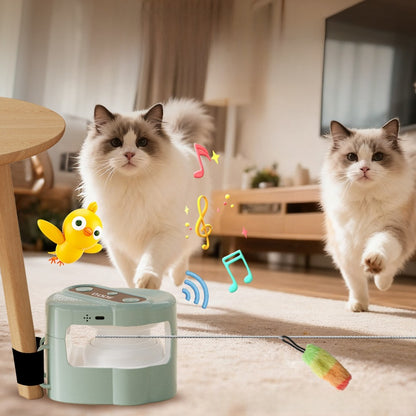 Electric pet toy