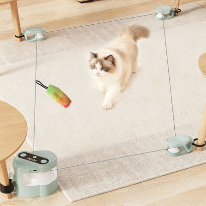Electric pet toy