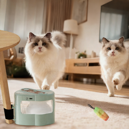Electric Pet Toy