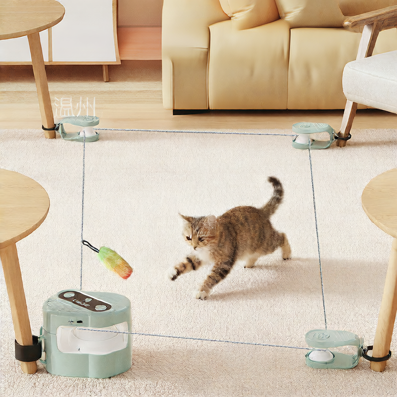 Electric Pet Toy