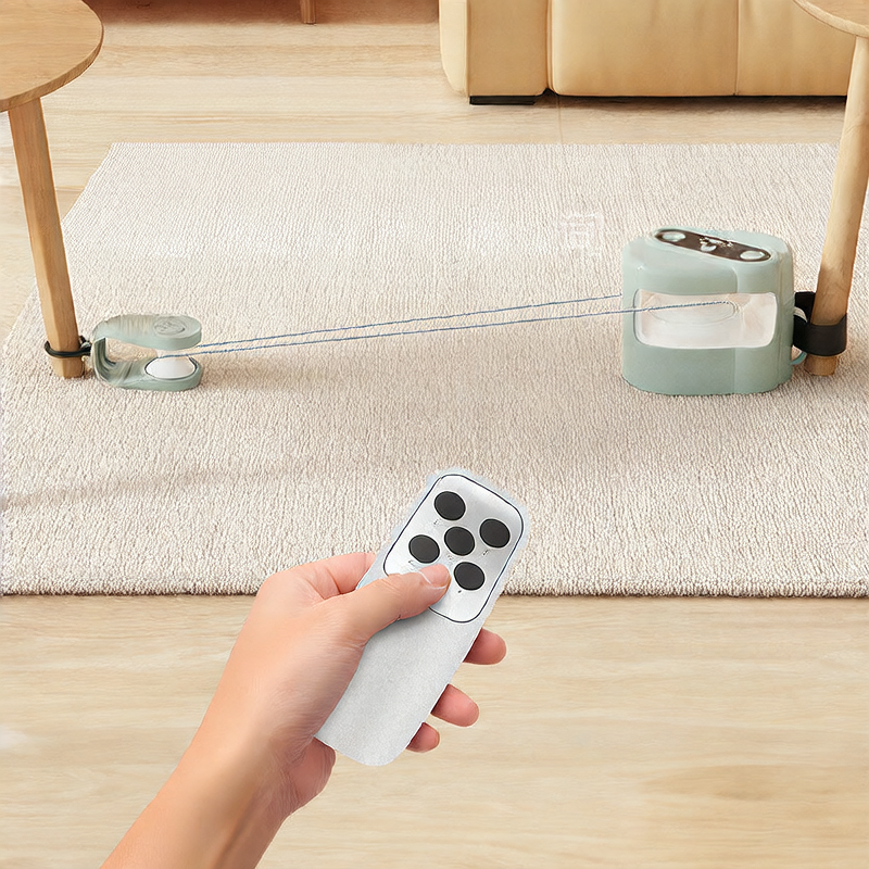 Electric Pet Toy