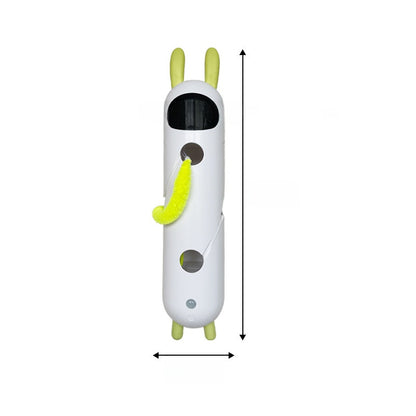 Electric Pet Toy