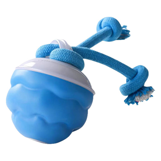 Electric Pet Toy
