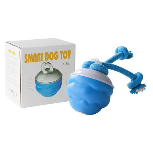 Electric Pet Toy