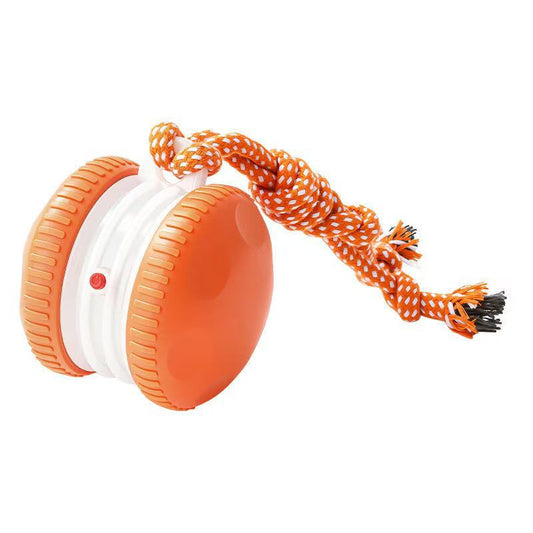 Electric Pet Toy