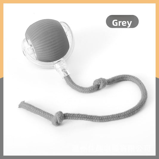 Electric Pet Toy