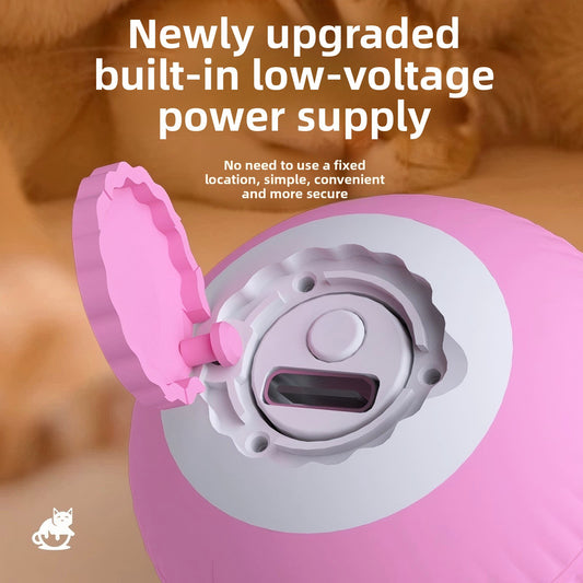 Electric Pet Toy
