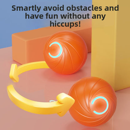 Electric rolling ball for dogs