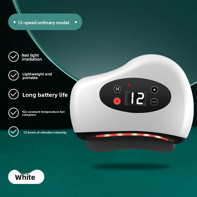 Electric Scraping Massager