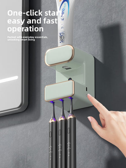 Electric toothbrush sanitizer