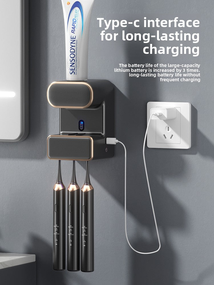 Electric toothbrush sanitizer
