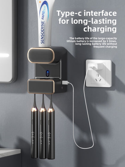 Electric toothbrush sanitizer