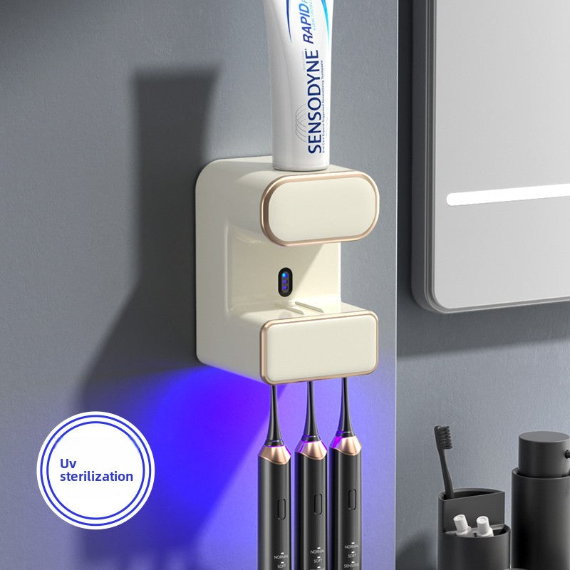 Electric toothbrush sanitizer