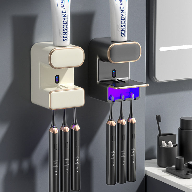 Electric toothbrush sanitizer