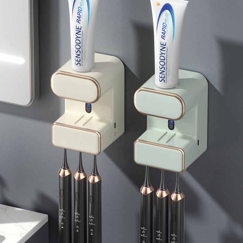 Electric toothbrush sanitizer