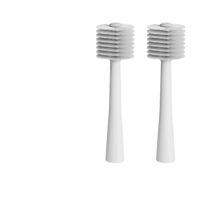 Electric Toothbrush